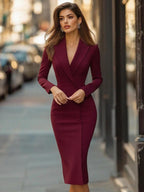 Women's Long Sleeve Formal Lapel Fitted Knee-Length Dress